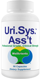 Urinary System Asst
