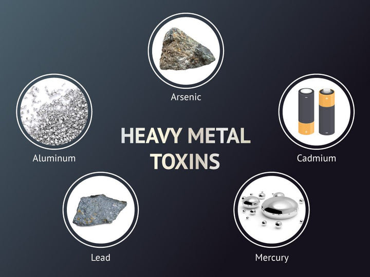 Heavy Metal Detox & Recommended Supplements